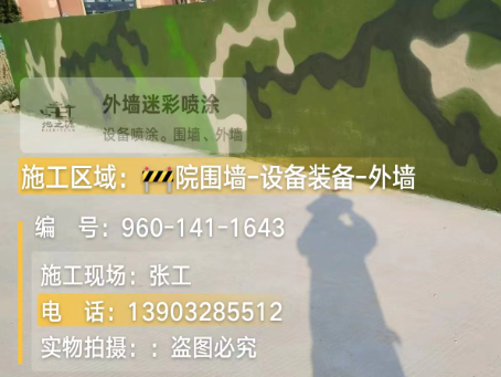 葫芦岛 迷彩漆喷涂价格（按平方米计费）