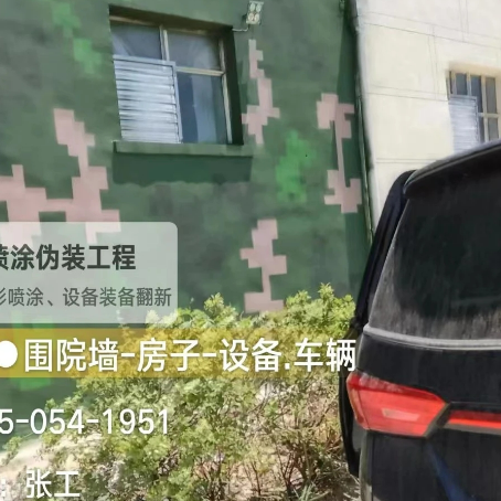 葫芦岛数码迷彩漆施工